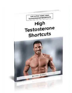 High Testosterone Shortcuts